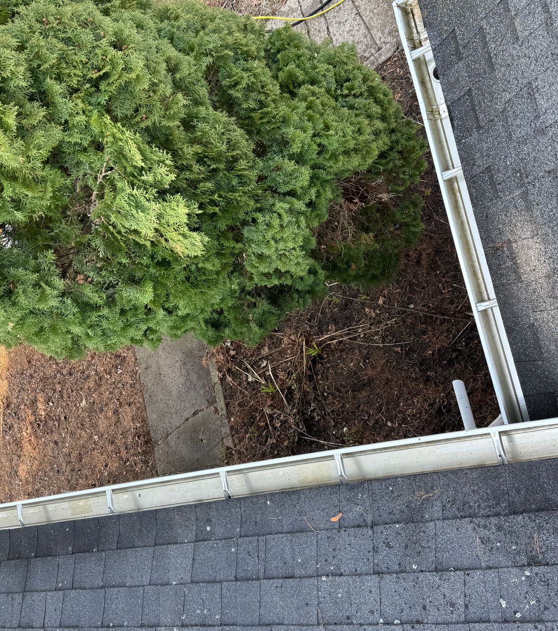 gutter cleaning