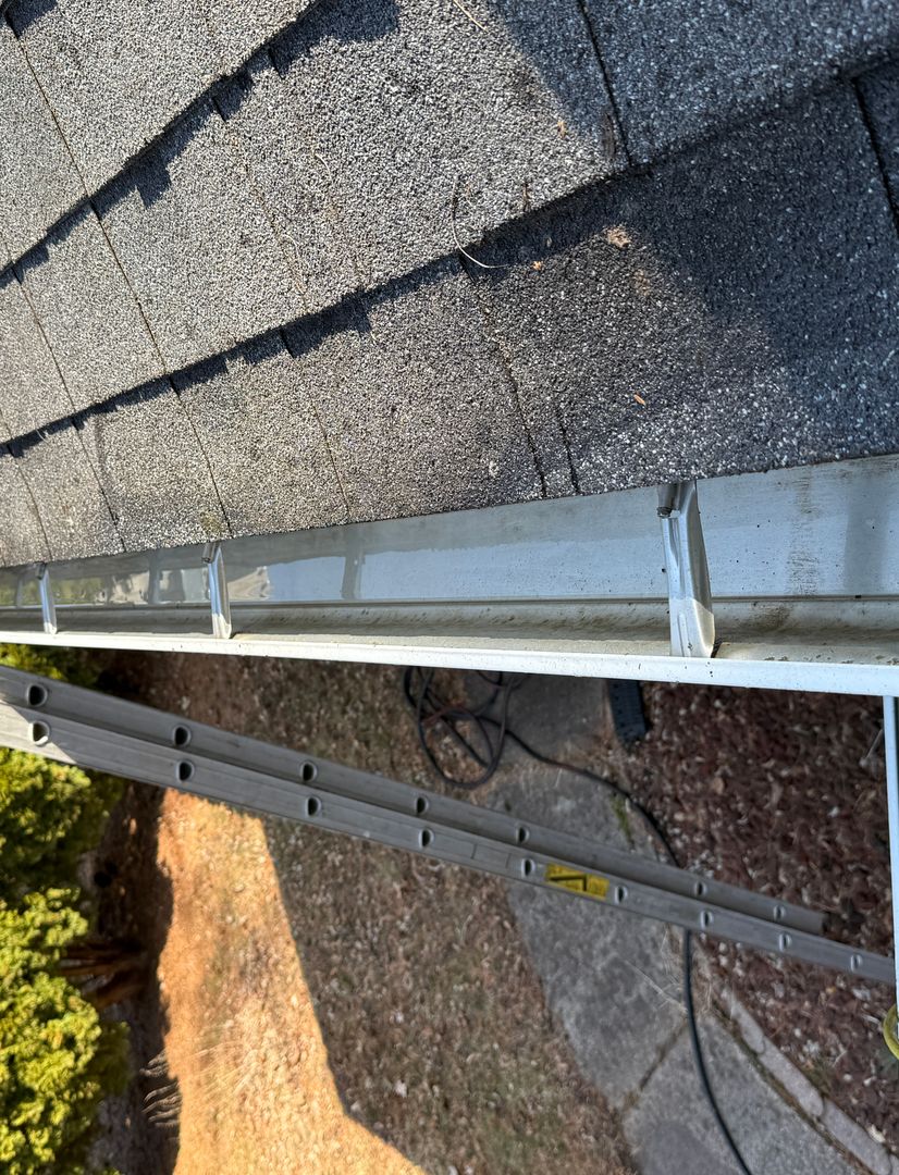 gutter cleaning