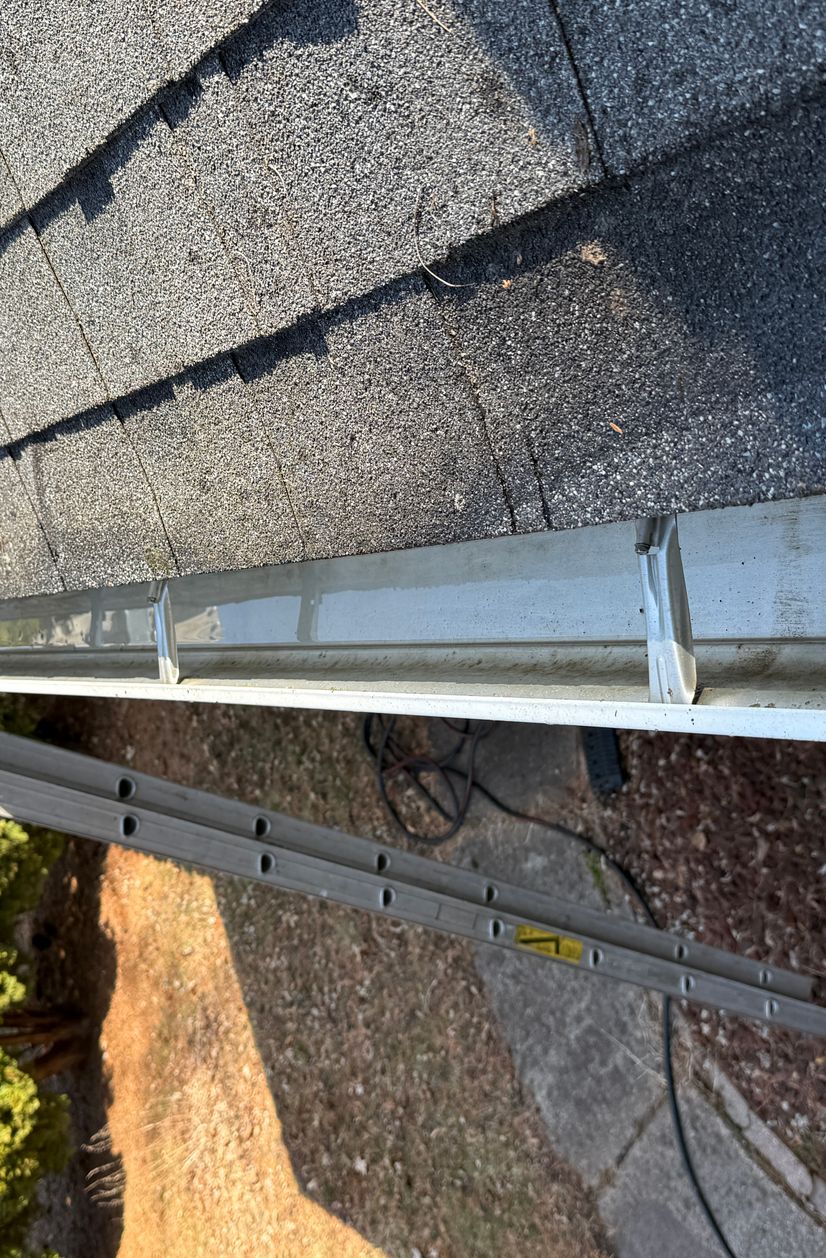 cleaned gutters