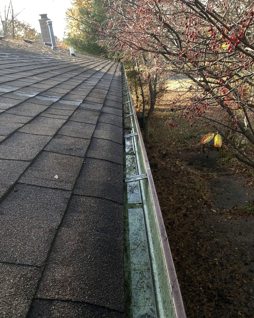 cleaned gutters